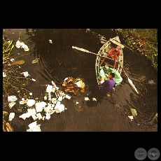 Recicladores de residuos - Fotografías de René González - Año 2007